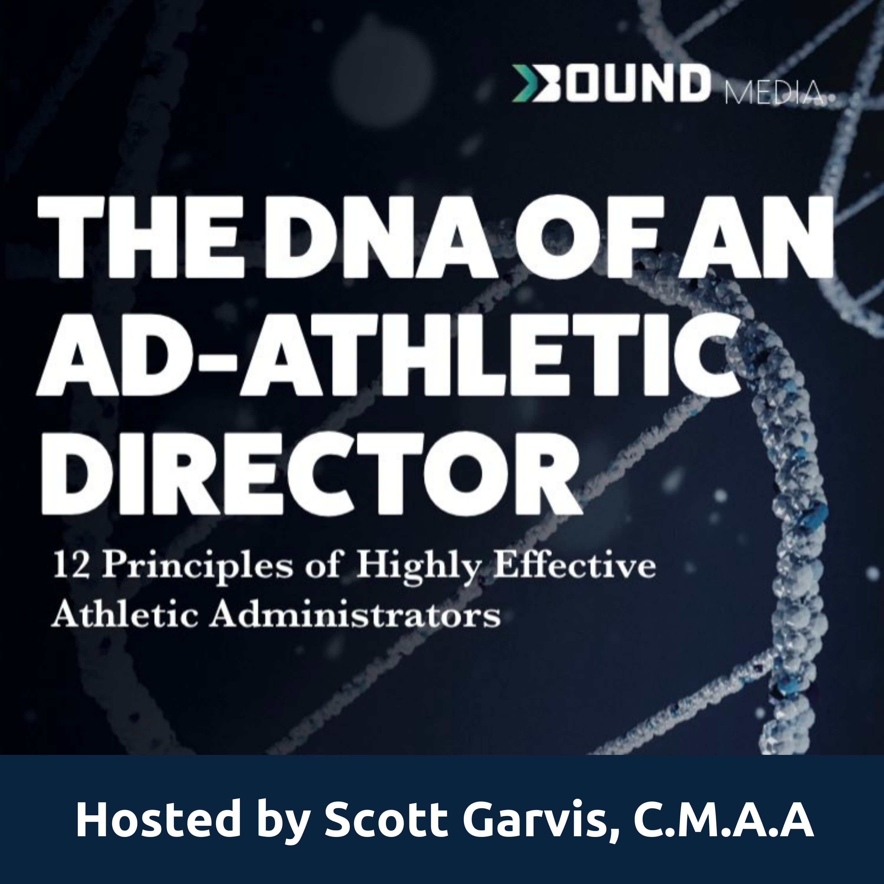Podcast: DNA of an AD (Chapter 4)