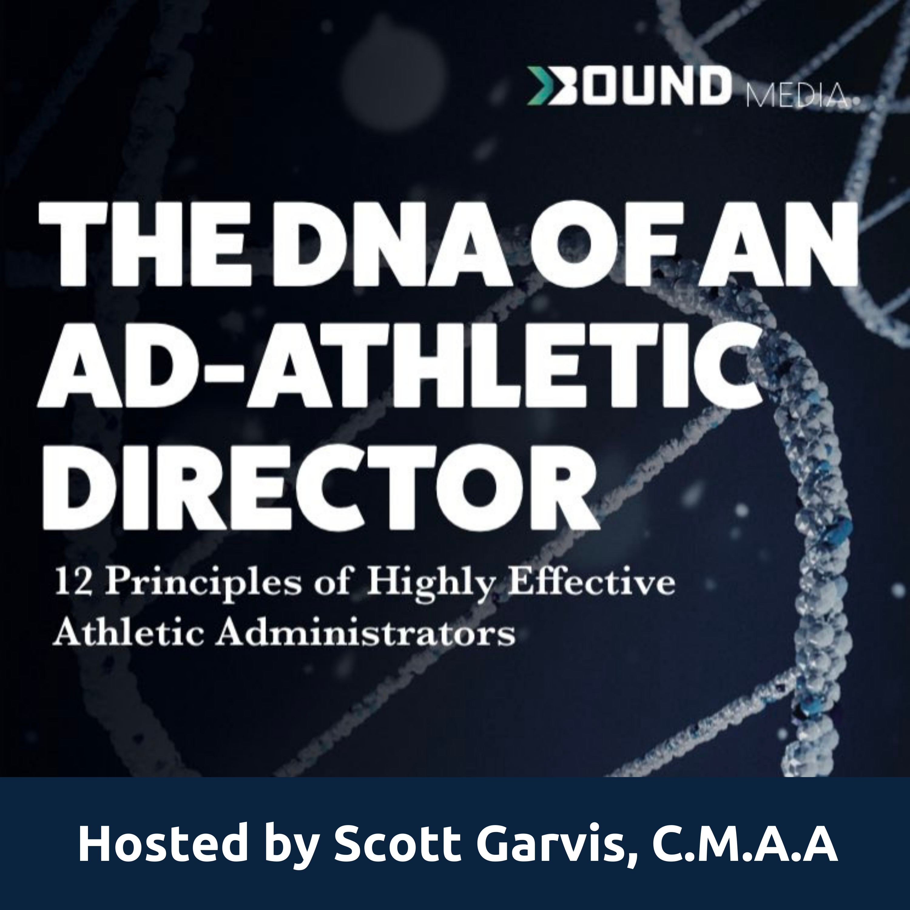 Podcast: DNA of an AD (Chapter 3)